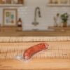 SAUCISSE A CUIRE PRESTIGE PF - Image 3